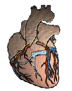 Logotipo da Especialidade