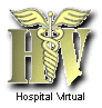 Hospital Virtual Brasileiro