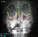 Logotipo da Especialidade